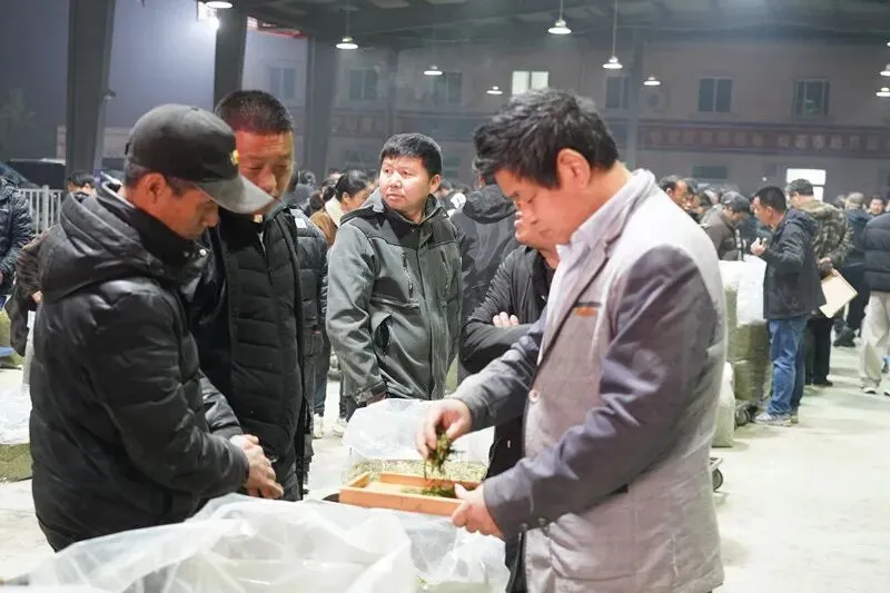遂昌春茶交易持续火爆!二十多天,这一市场交易额破2亿大关