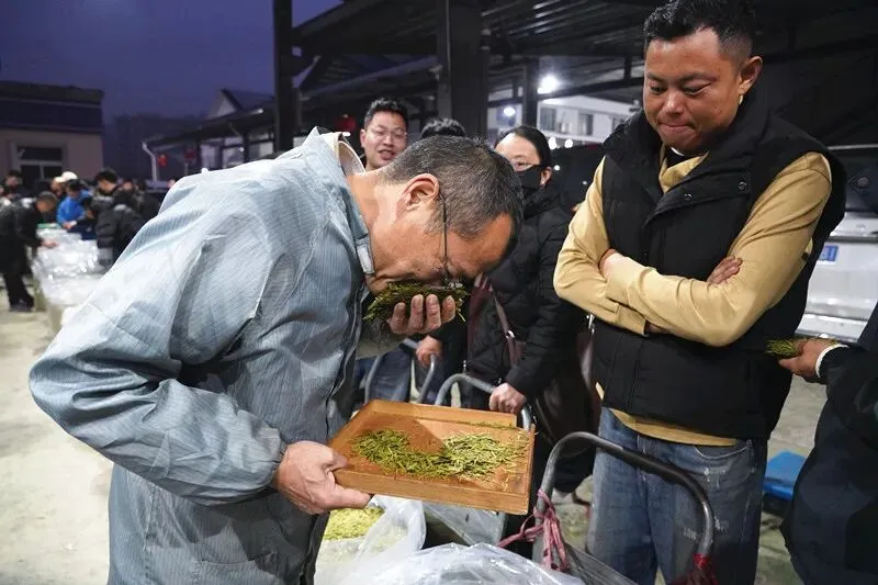 遂昌春茶交易持续火爆!二十多天,这一市场交易额破2亿大关