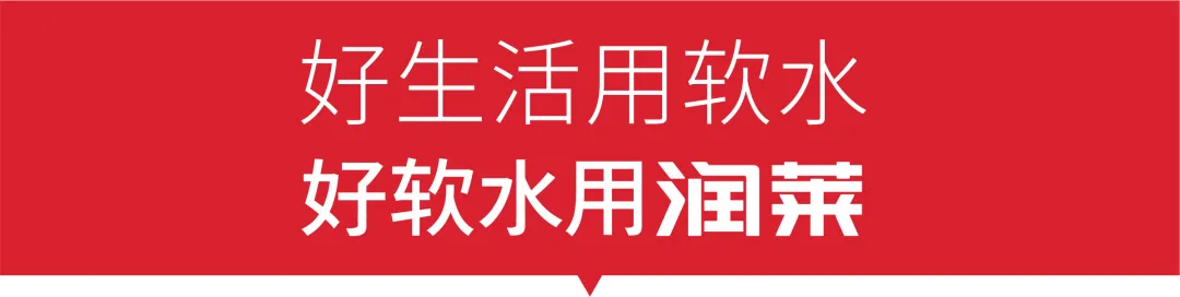 【快讯】润莱举办2026烟台、威海区域营销暨售后培训交流会