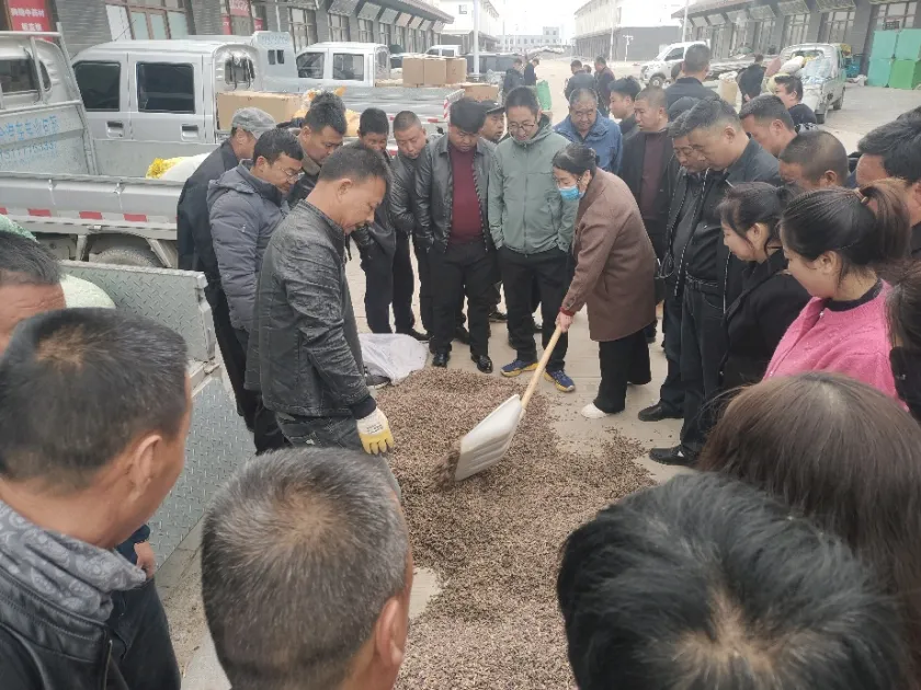 2026年3月27日文峰康美中药材市场快讯