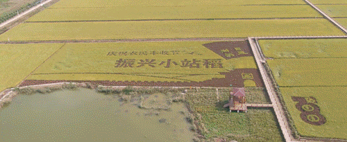 走进“春糖生活季” 探索营销新路径——集团开展学习交流活动