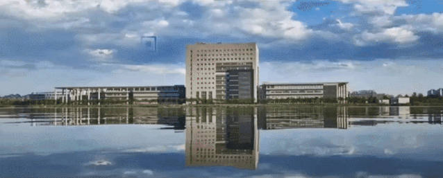 招聘信息丨中国天津粮油批发交易市场2026年公开招聘工作人员公告