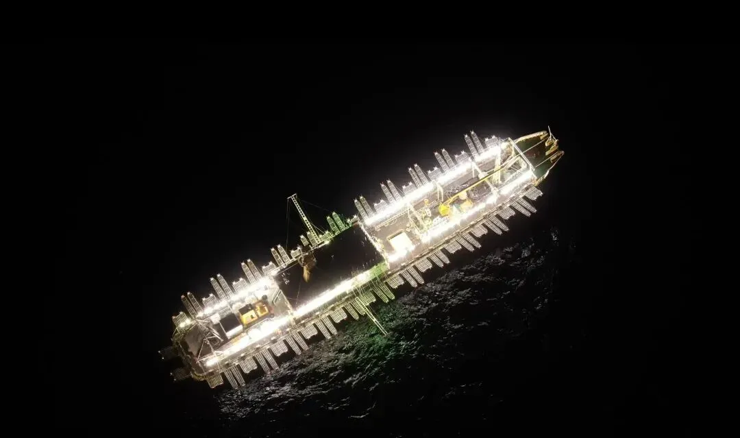 2026年3月27日全球鱿鱼市场洞察:产能释放、局部上涨与替代博弈