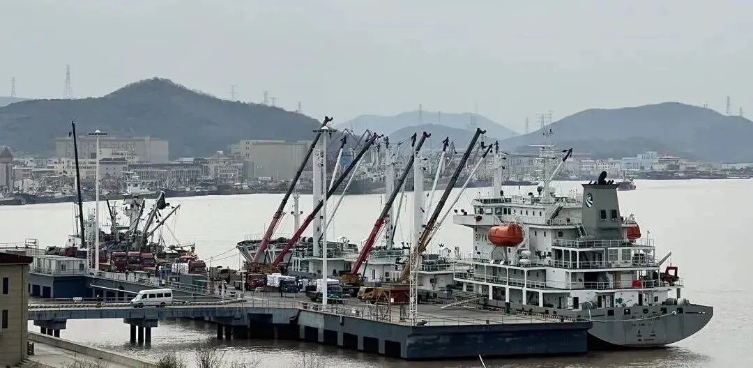 2026年3月27日全球鱿鱼市场洞察:产能释放、局部上涨与替代博弈