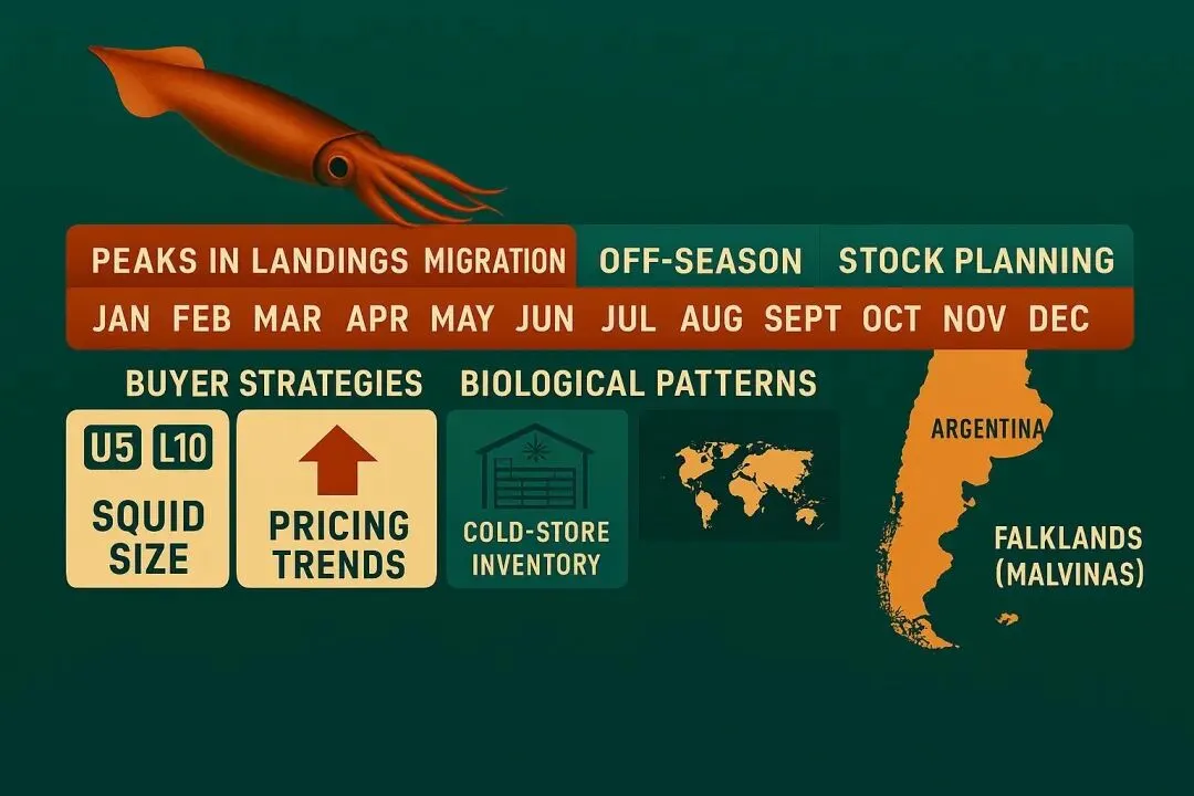 2026年3月27日全球鱿鱼市场洞察:产能释放、局部上涨与替代博弈