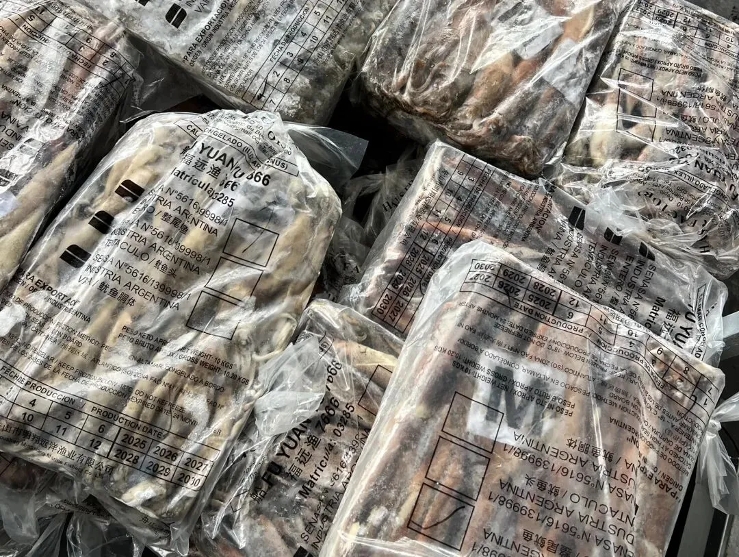 2026年3月27日全球鱿鱼市场洞察:产能释放、局部上涨与替代博弈