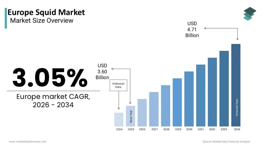 2026年3月27日全球鱿鱼市场洞察:产能释放、局部上涨与替代博弈