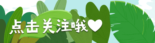 生活中学单词 | 罗技失败的营销案例