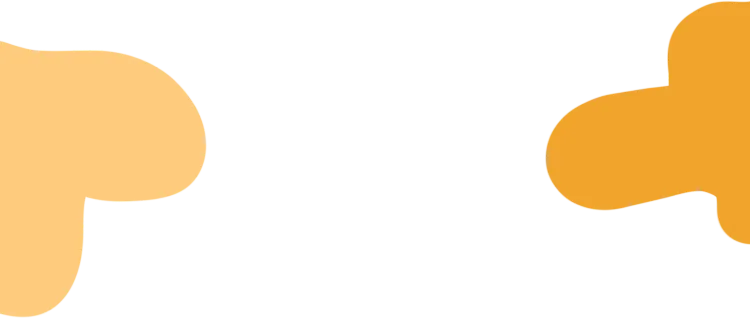 走,去本溪富佳花卉市场!寻冬日生机,与繁花相拥