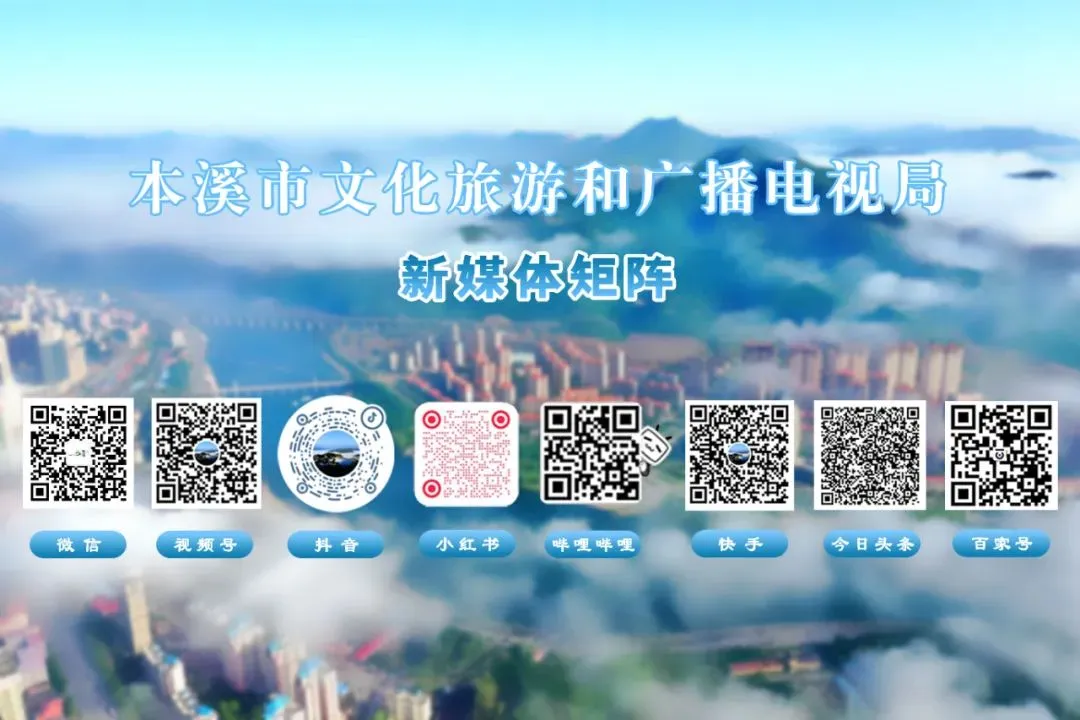 走,去本溪富佳花卉市场!寻冬日生机,与繁花相拥