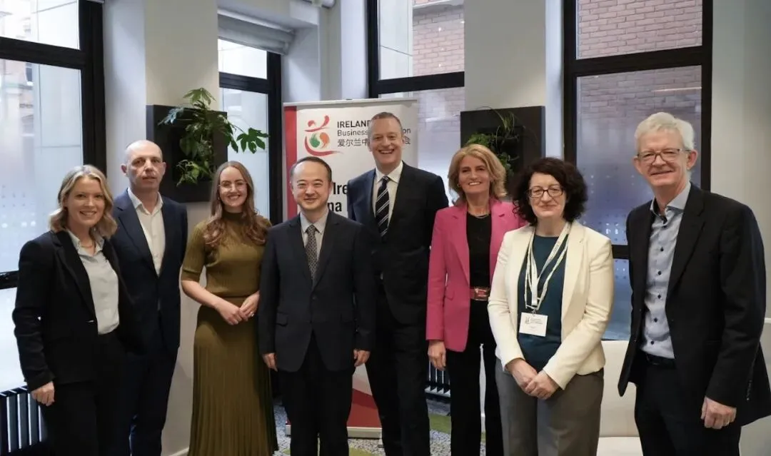 赵希源大使出席爱尔兰中国商会中国市场动态发布会