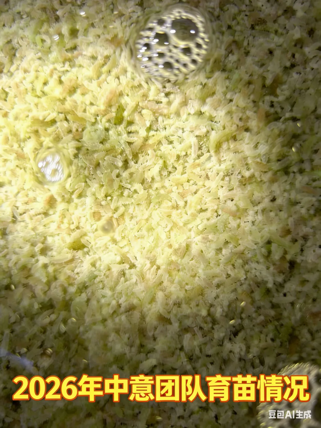 国内外海参市场格局生变:行业迎来新一轮结构调整