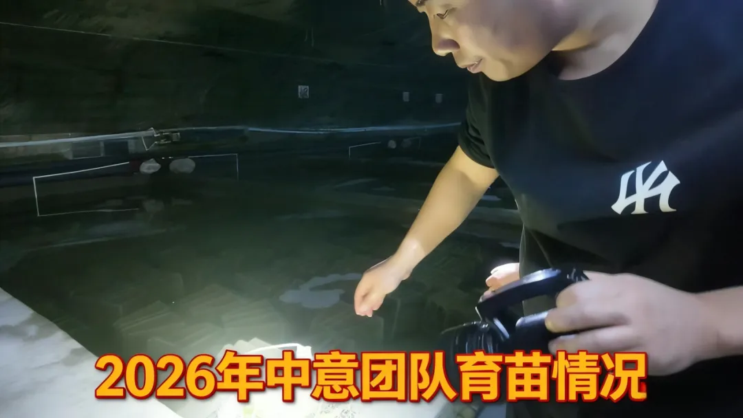 国内外海参市场格局生变:行业迎来新一轮结构调整