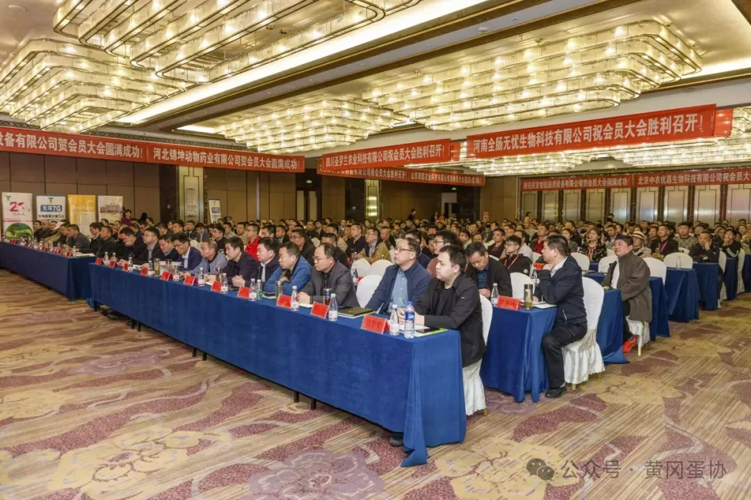 2026年3月28日黄冈市场行情