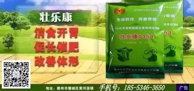 上电视了!10元一斤牛羊肉大量流入市场,让养殖户怎么活?