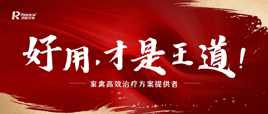 营销赋能+技术护航——3月销售培训会议收获满满!
