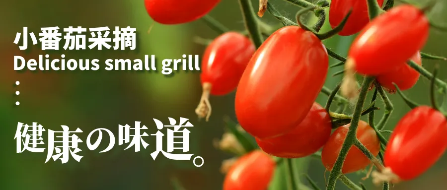 拆杆、挪车、还路,招商市场周边通行难,岳阳街道这样“拆解”