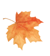 孙店镇市场监管所深入孙店五中检查校园食品安全