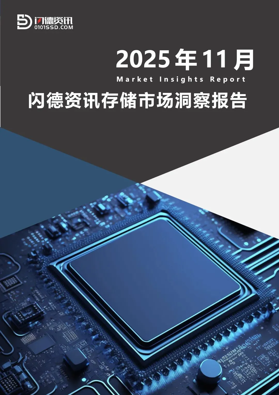 51页 | 存储市场洞察报告 2025年11月