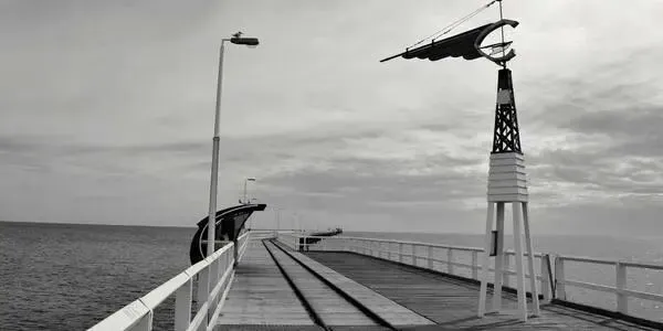 Day461:虚假繁荣终会落幕,市场修正才是复苏的起点