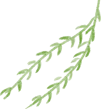 新媒体营销社持续服务叶榭非遗推广