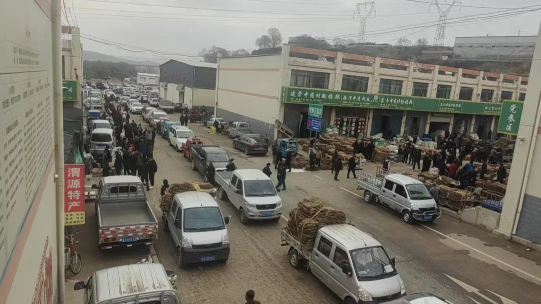 2026年3月27日渭源中药材市场快讯