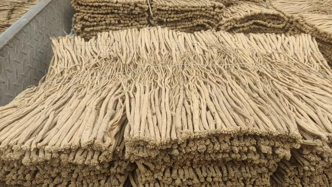 2026年3月27日渭源中药材市场快讯