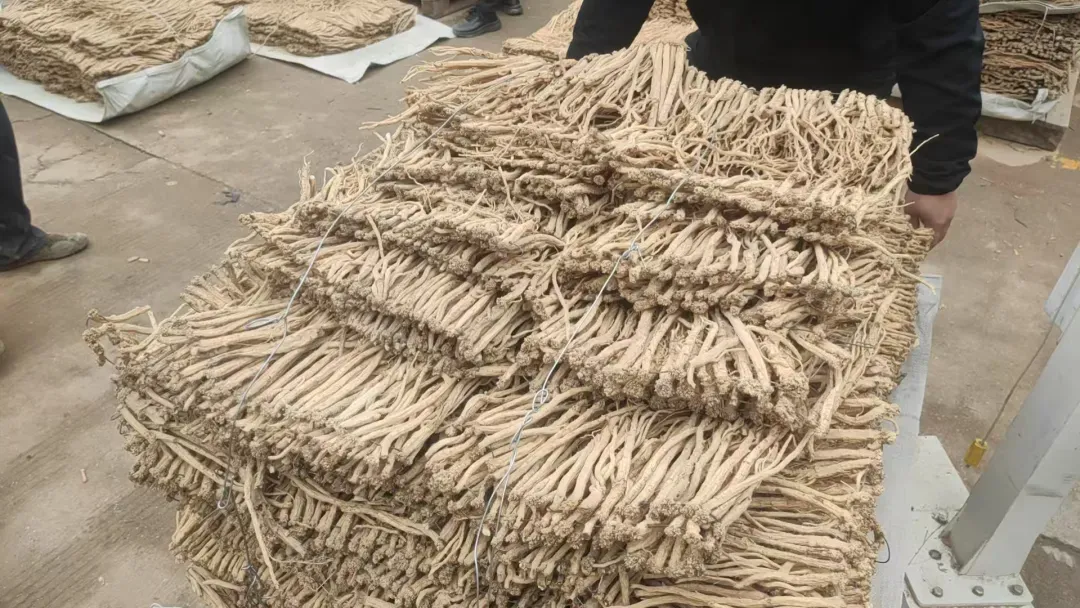 2026年3月27日渭源中药材市场快讯