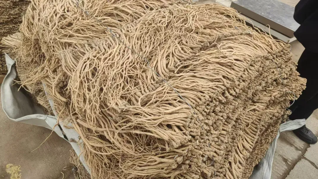 2026年3月27日渭源中药材市场快讯