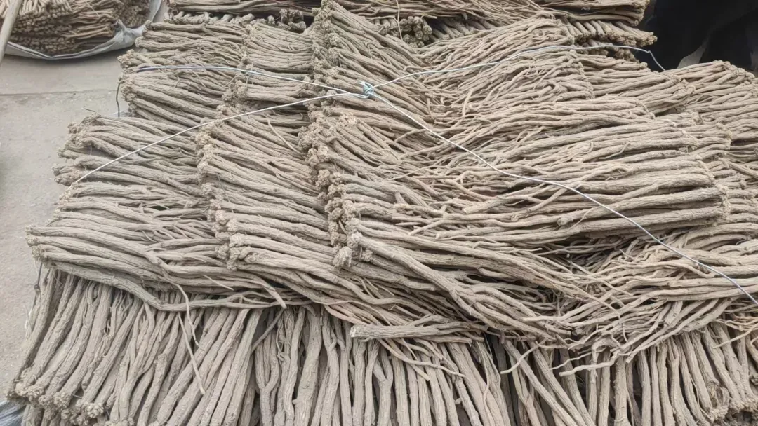 2026年3月27日渭源中药材市场快讯