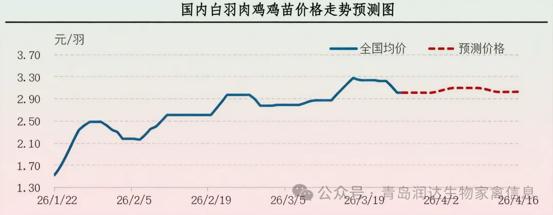 【周报】肉鸡市场行情汇总:产品市场需求不佳,产品价格整体下跌(20260320-0326)