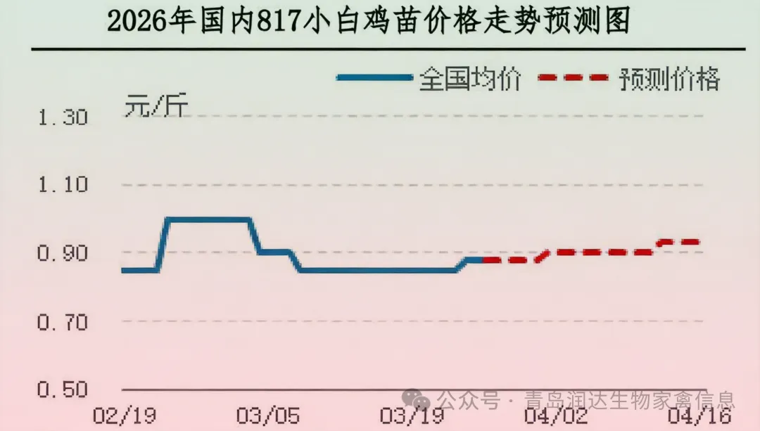 【周报】肉鸡市场行情汇总:产品市场需求不佳,产品价格整体下跌(20260320-0326)