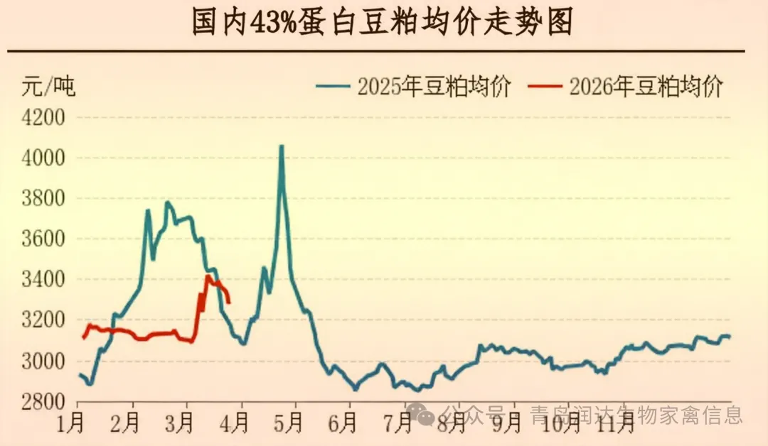 【周报】肉鸡市场行情汇总:产品市场需求不佳,产品价格整体下跌(20260320-0326)