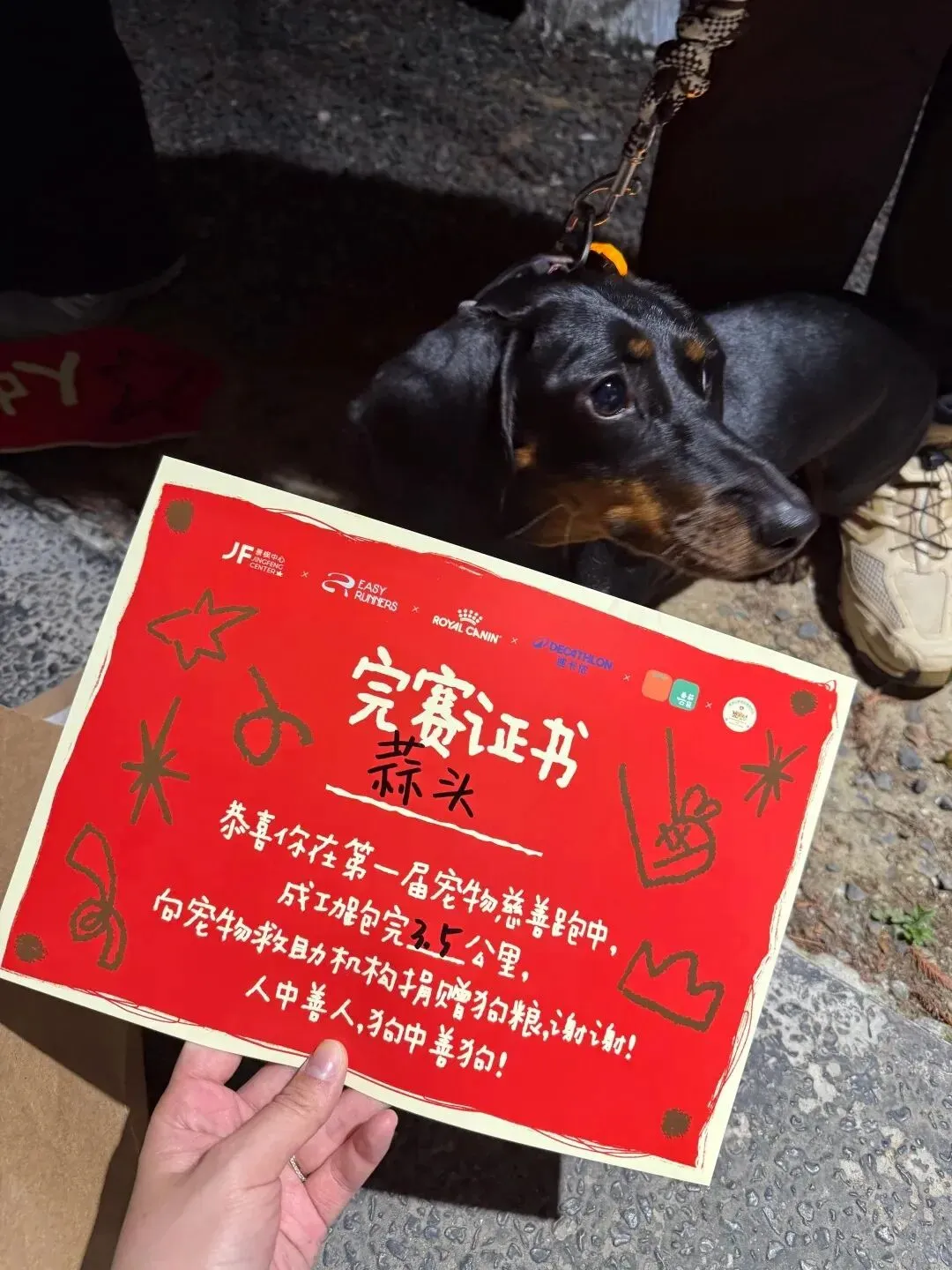 品牌营销动向(二)「爷爷不泡茶把七百年春色酿进奶茶里」