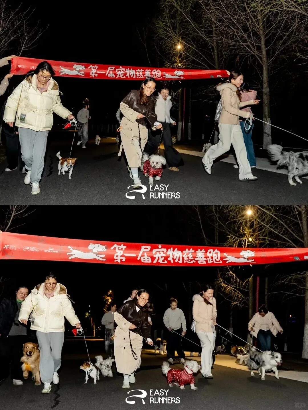 品牌营销动向(二)「爷爷不泡茶把七百年春色酿进奶茶里」