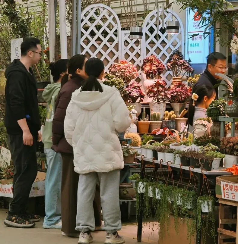 堤角花鸟市场:武汉人的烟火气,都装在这里了