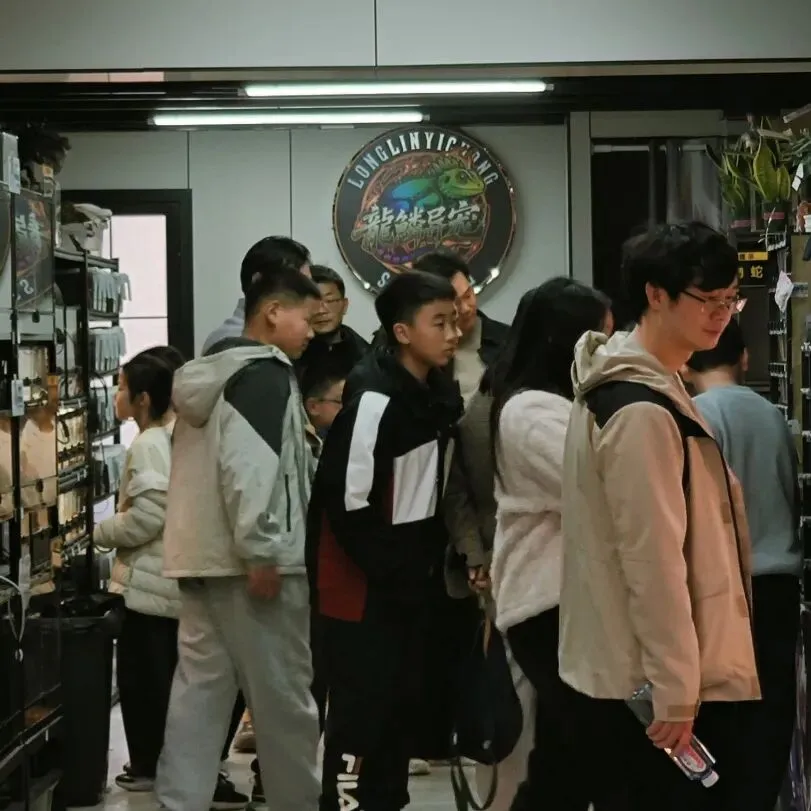 堤角花鸟市场:武汉人的烟火气,都装在这里了