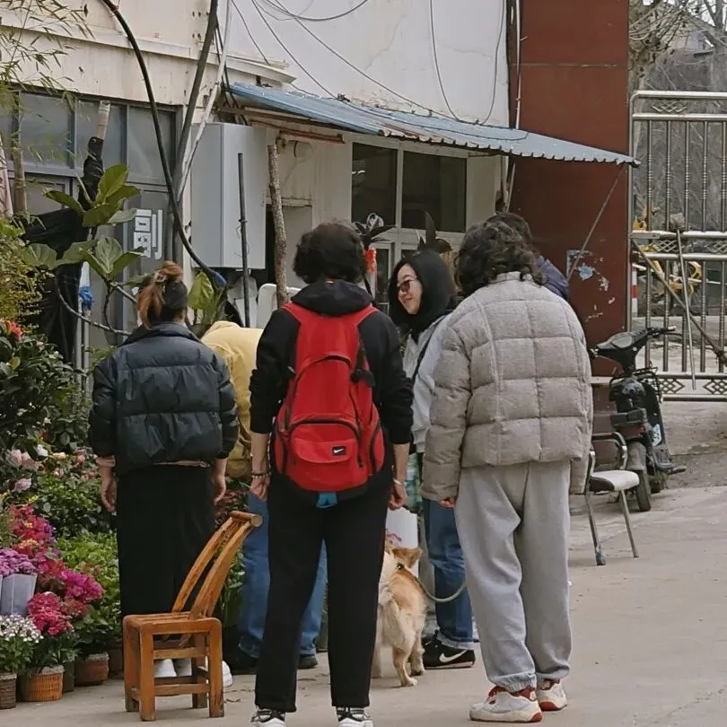 堤角花鸟市场:武汉人的烟火气,都装在这里了
