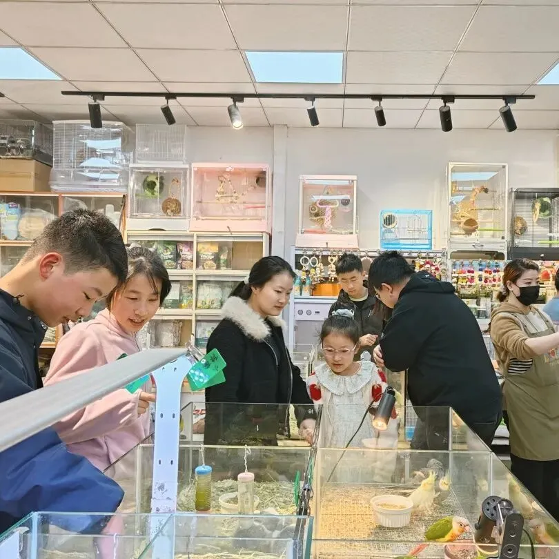 堤角花鸟市场:武汉人的烟火气,都装在这里了