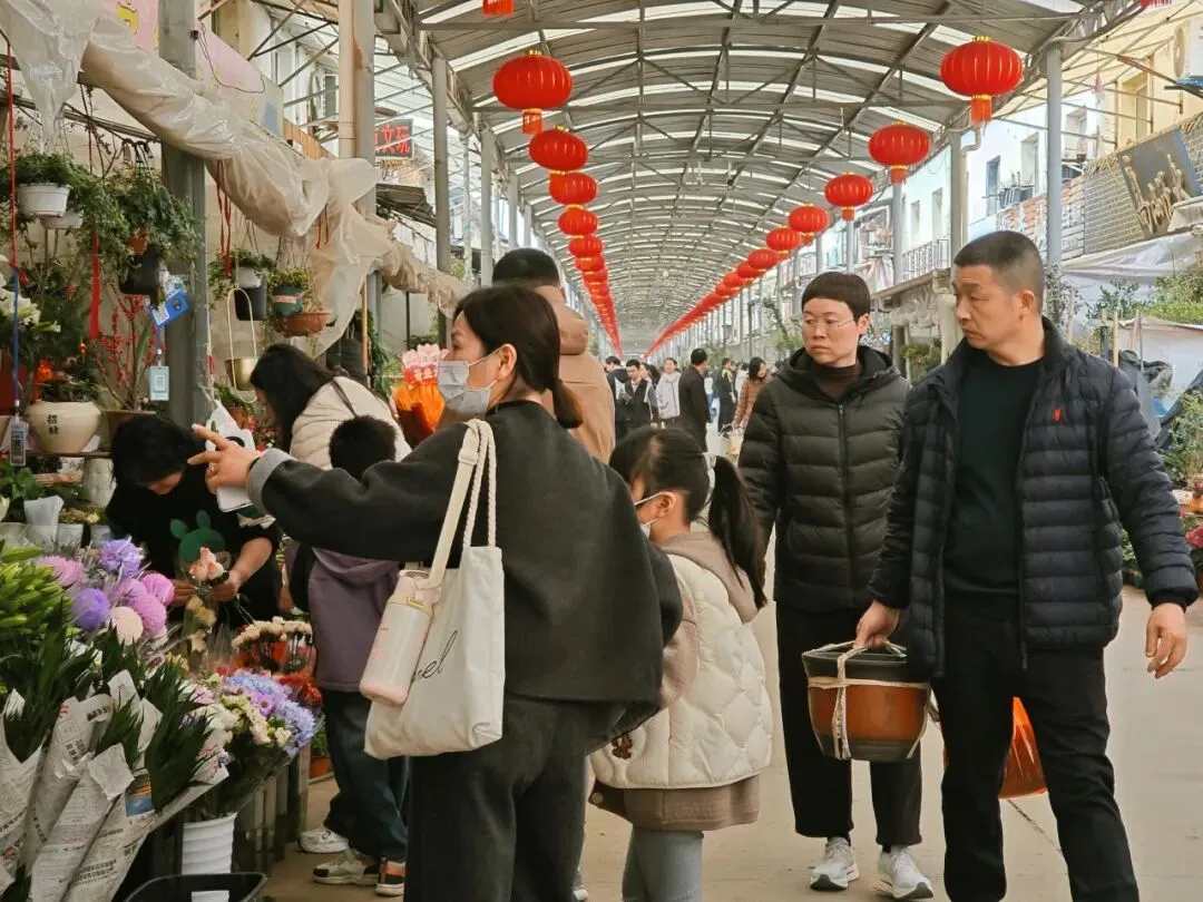 堤角花鸟市场:武汉人的烟火气,都装在这里了