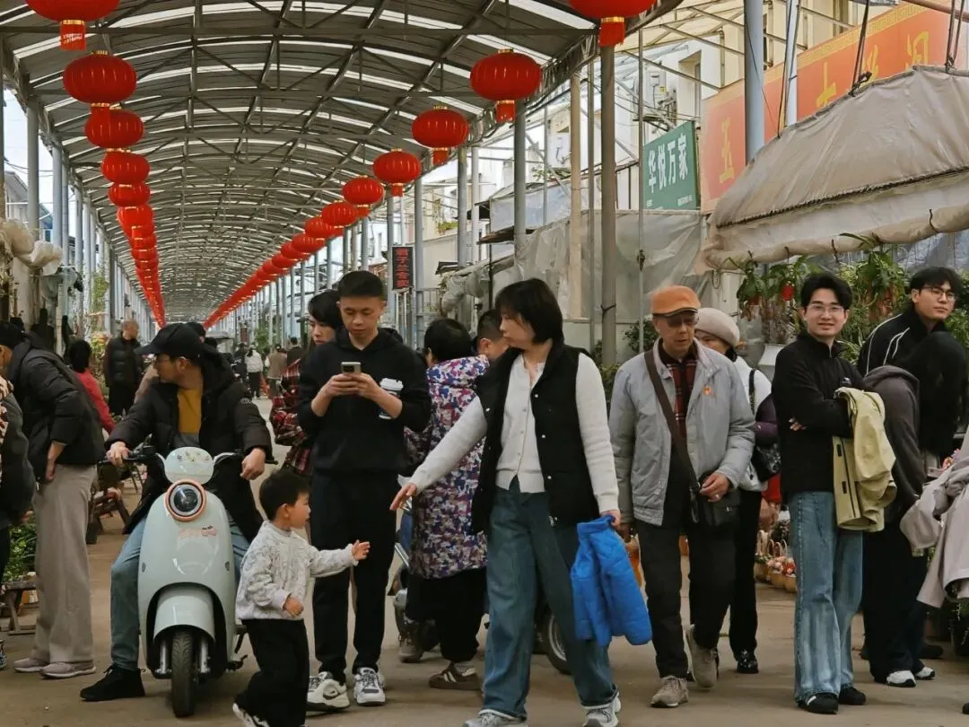 堤角花鸟市场:武汉人的烟火气,都装在这里了