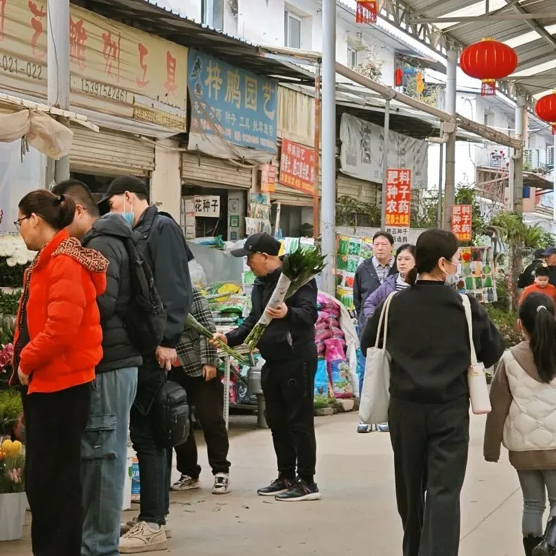 堤角花鸟市场:武汉人的烟火气,都装在这里了