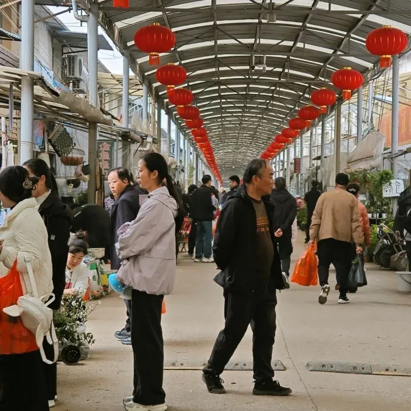 堤角花鸟市场:武汉人的烟火气,都装在这里了