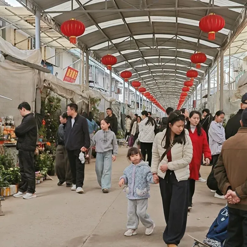堤角花鸟市场:武汉人的烟火气,都装在这里了