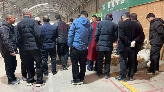 2026年3月26日首阳中药材市场快讯(党参原装关注度高,价格稳定)