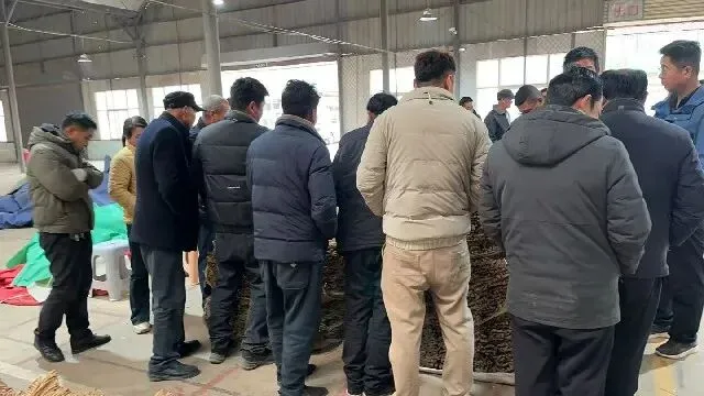 2026年3月26日首阳中药材市场快讯(党参原装关注度高,价格稳定)