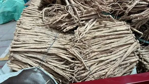 2026年3月26日首阳中药材市场快讯(党参原装关注度高,价格稳定)