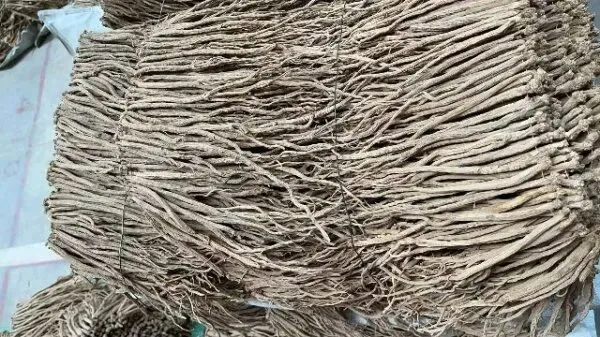 2026年3月26日首阳中药材市场快讯(党参原装关注度高,价格稳定)