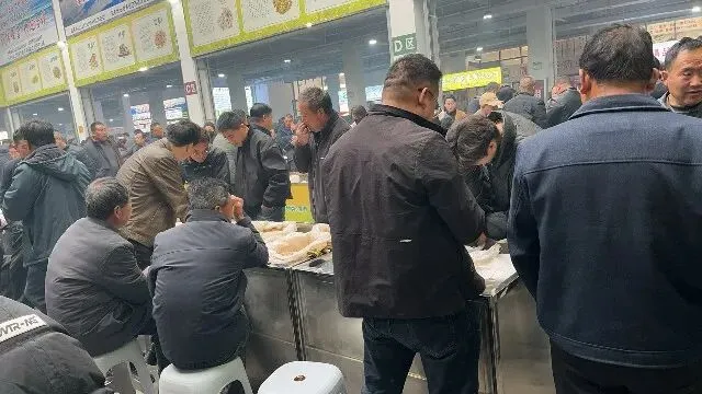 2026年3月26日首阳中药材市场快讯(党参原装关注度高,价格稳定)