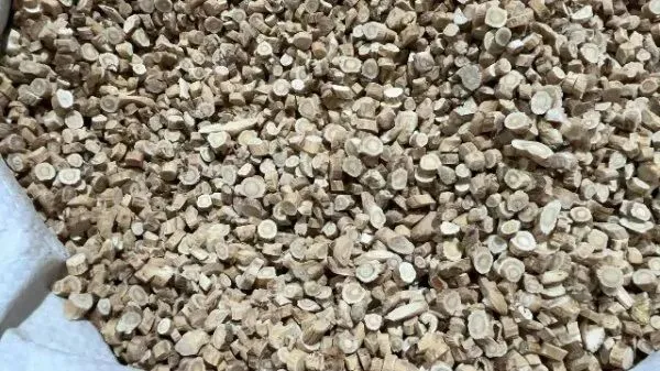 2026年3月26日首阳中药材市场快讯(党参原装关注度高,价格稳定)